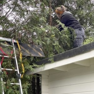 Häckklippning_Karlstad