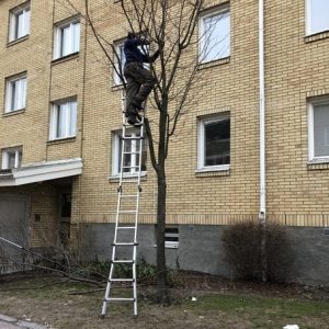 Trädbeskärning_Karlstad